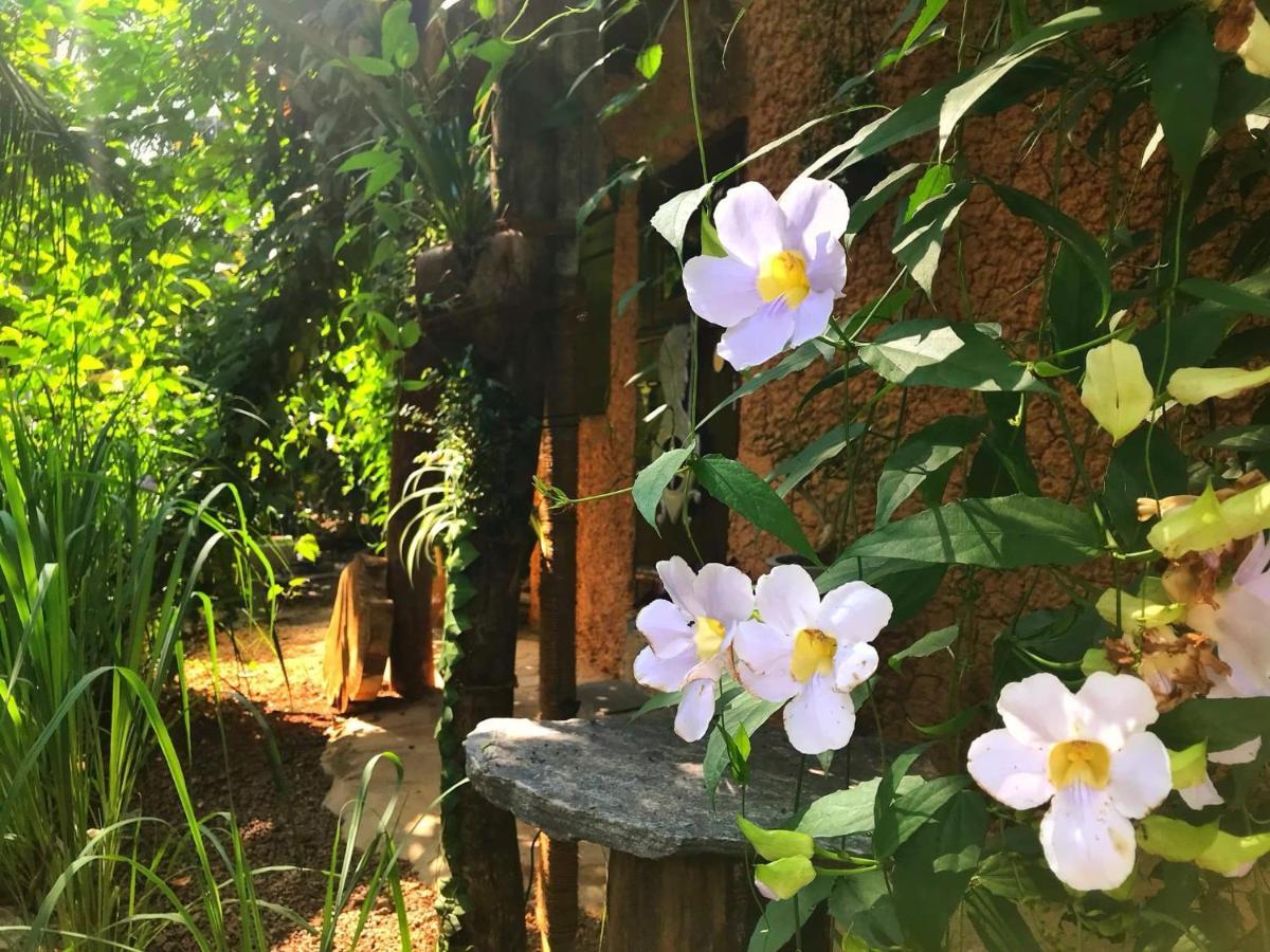 Villa Earth House Sri Lanka Neboda Exterior foto
