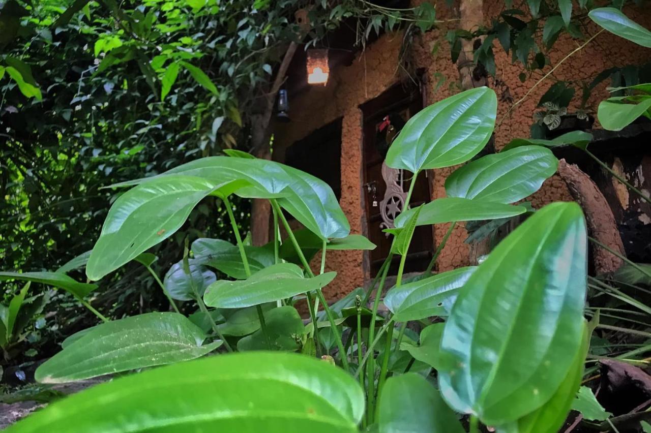 Villa Earth House Sri Lanka Neboda Exterior foto