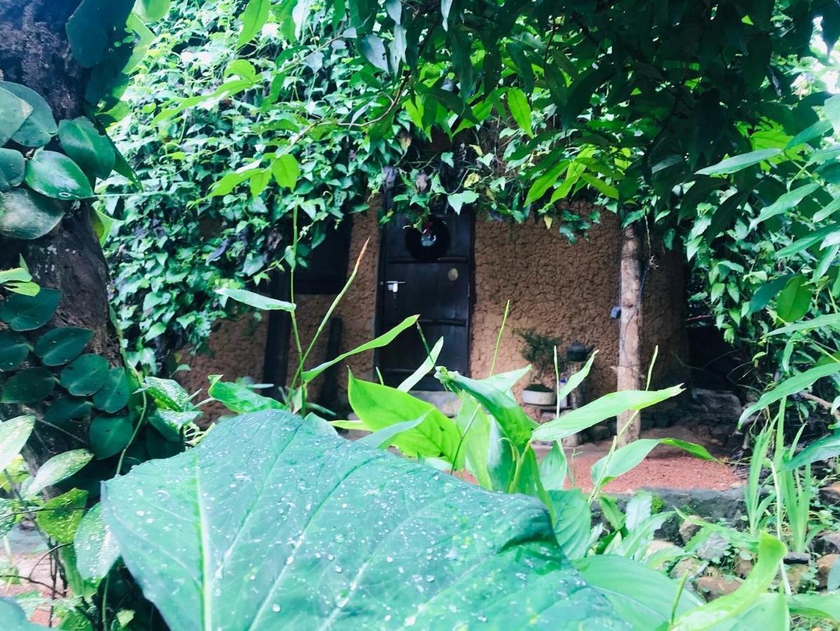 Villa Earth House Sri Lanka Neboda Exterior foto