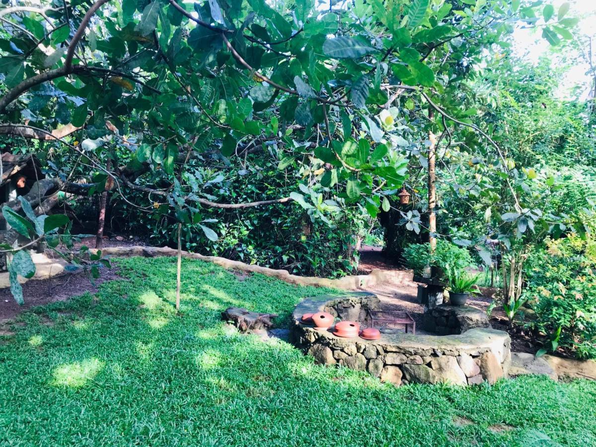 Villa Earth House Sri Lanka Neboda Exterior foto