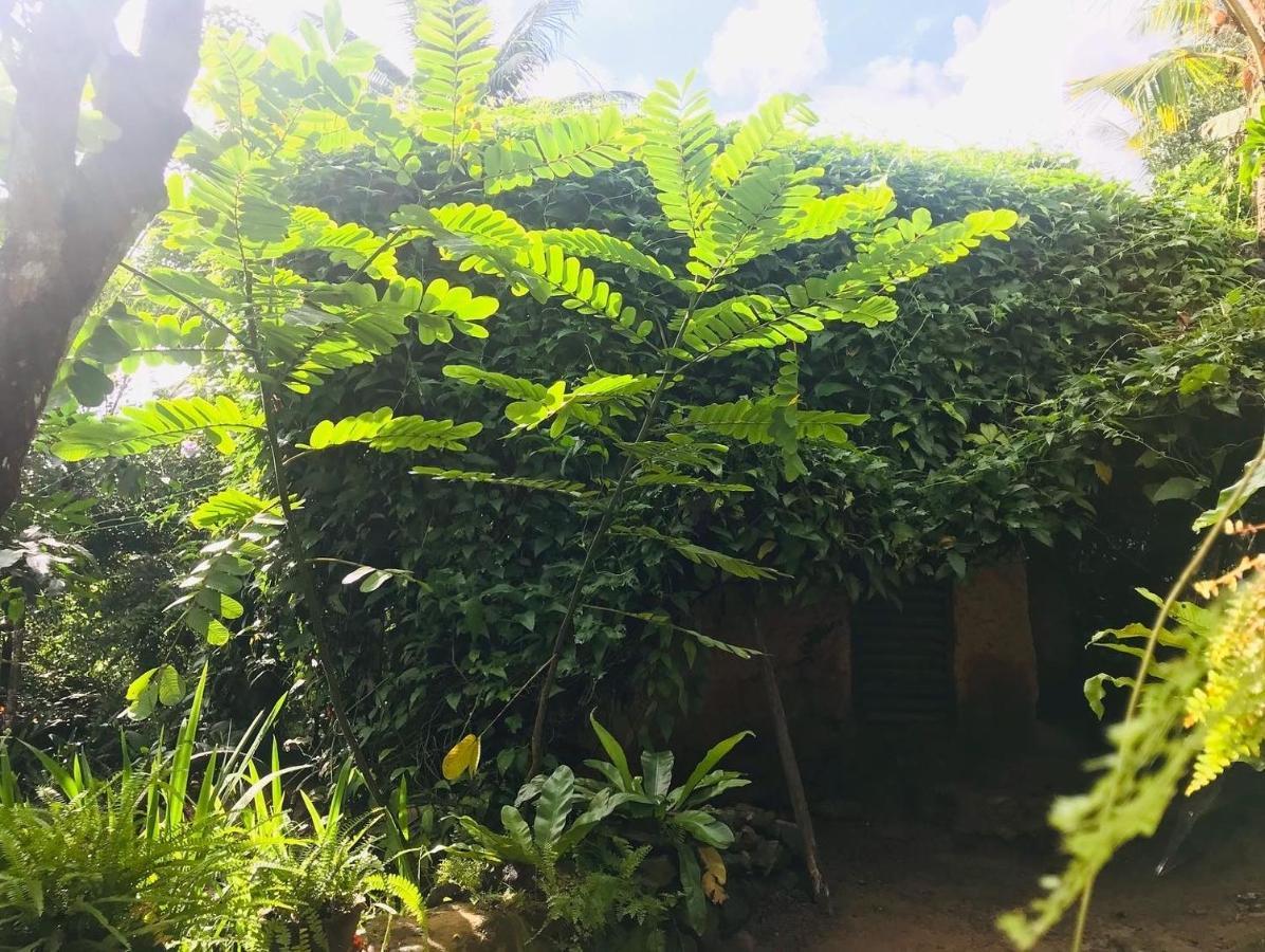 Villa Earth House Sri Lanka Neboda Exterior foto