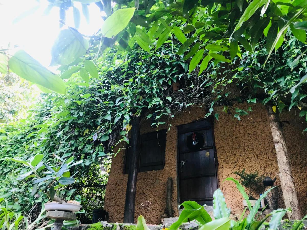 Villa Earth House Sri Lanka Neboda Exterior foto