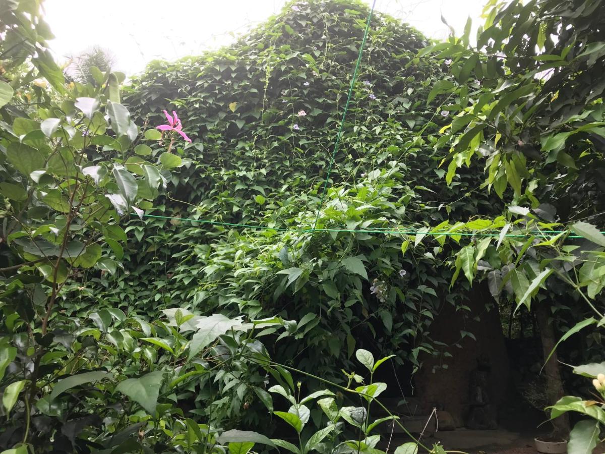 Villa Earth House Sri Lanka Neboda Exterior foto